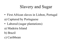 Slavery and Sugar