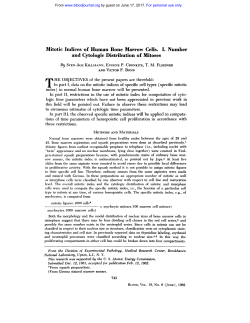 Mitotic Indices of Human Bone Marrow Cells. I. Number and