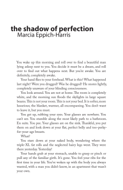 the shadow of perfection - Marcia Eppich