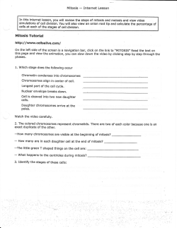 Mitosis online tutorial