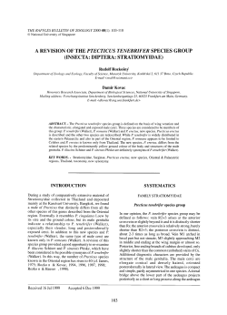 a revision of the ptecticus tenebrifer species group (insecta: diptera
