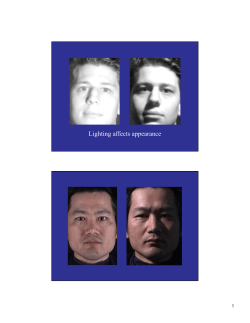 Optics, Reflectance models and BRDFs