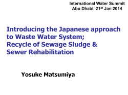 Introducing the Japanese approach to Wastewater Systems