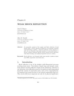 Chapter 6 WEAK SHOCK REFLECTION