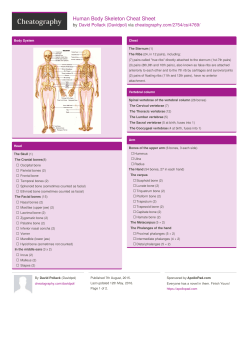 Human Body Skeleton Cheat Sheet by Davidpol