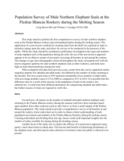 Population Survey of Male Northern Elephant Seals at the Piedras