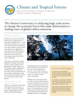 Climate and Tropical Forests
