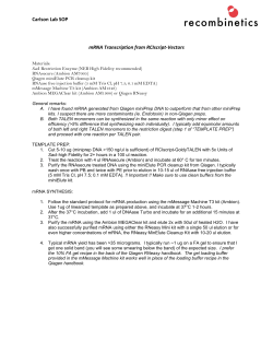 Carlson Lab SOP mRNA Transcription from RCIscript