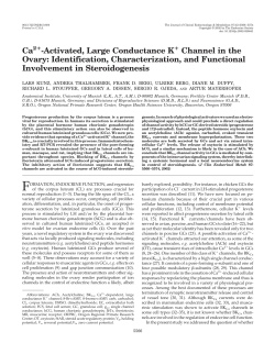 Ca -Activated, Large Conductance K Channel in the Ovary