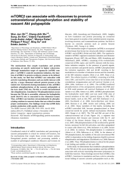 mTORC2 can associate with ribosomes to promote cotranslational