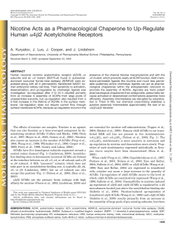Nicotine Acts as a Pharmacological Chaperone to Up