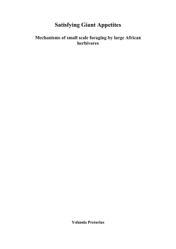 Mechanisms of small scale foraging by large African