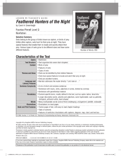 Feathered Hunters of the Night