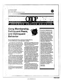 Gang Membership, ellinquent Peers, and Delinquent Behavior