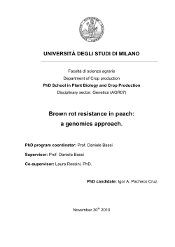 1 - PhD thesis Pacheco_Igor