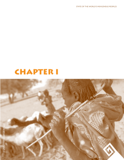 chapter i - the United Nations