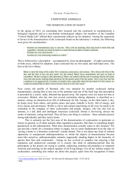 uninvited animals - The Oh