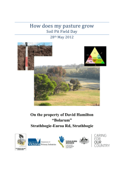 Handout for Strathbogie soil pit day