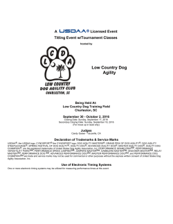 Low Country Dog Agility