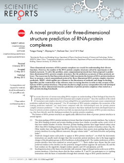 A novel protocol for three-dimensional structure prediction of RNA