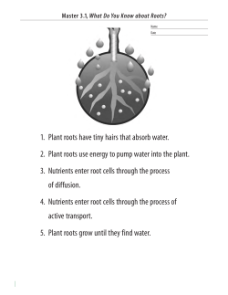 1. Plant roots have tiny hairs that absorb water. 2. Plant roots use