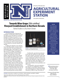 Vineyard Establishment in Northern Nevada