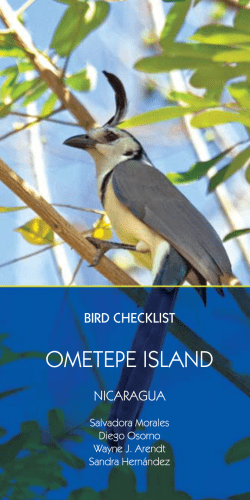 ometepe island - Bainbridge Ometepe Sister Islands