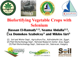 Biofortifying vegetable crops with Selenium (ACS, Long Beach, CA