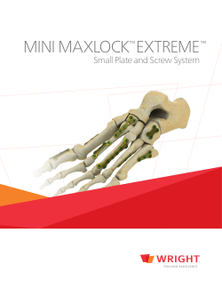 mini maxlock extreme