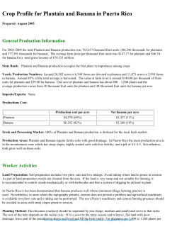 Crop Profile for Plantain and Banana in Puerto Rico