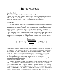 Photosynthesis pdf