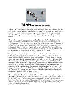 200 species of birds - The Discovery Center