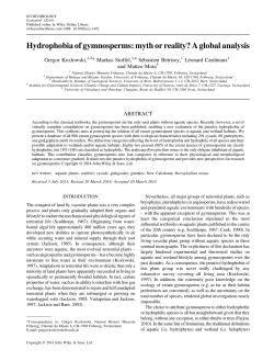 Hydrophobia of gymnosperms: myth or reality? A