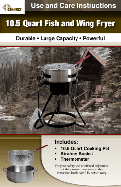 10.5 Quart Fish and Wing Fryer