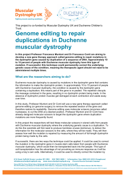 summary of this research project