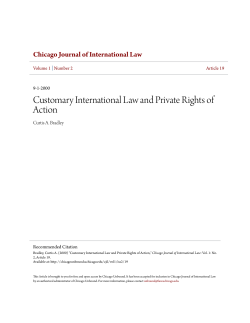 Customary International Law and Private Rights of Action