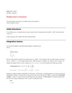 Stankewitz`s solutions