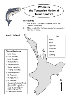 Activity Sheets Years 5