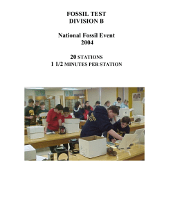 FOSSIL TEST DIVISION B National Fossil Event 2004 1 1/2
