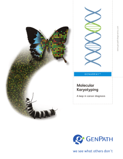 Molecular Karyotyping