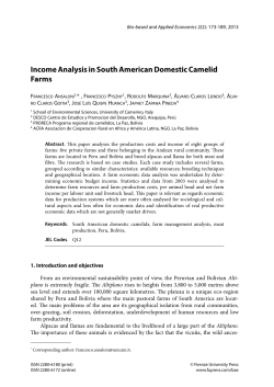 Income Analysis in South American Domestic