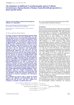 The abundance of additional N-acetyllactosamine units in N