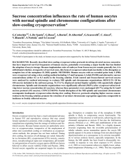 Sucrose concentration influences the rate of human oocytes with