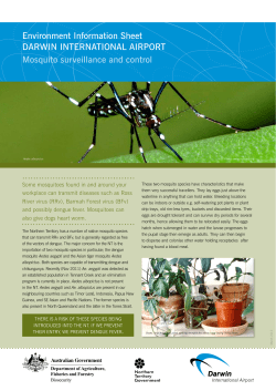 Mosquito Surveillance and Control Information Sheet