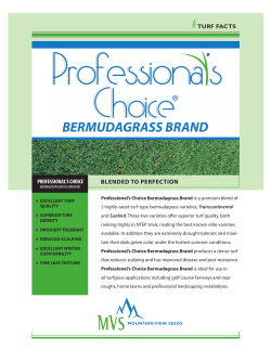 Printable data sheet - Mountain View Seeds