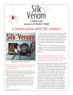 a conversation with the creators