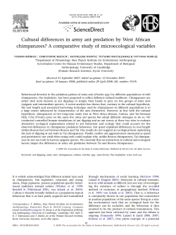 Cultural differences in army ant