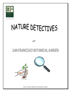 Nature Detective - San Francisco Botanical Garden