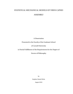 statistical mechanical models of virus capsid assembly