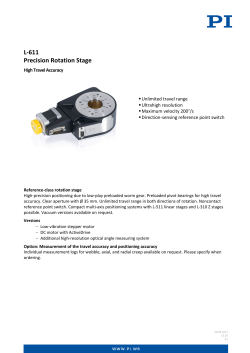 Datasheet Template - Physik Instrumente